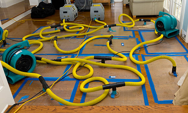 Professional Basement Flood Cleanup technician working in East Bank, WV